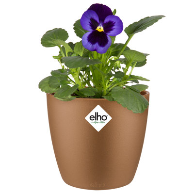 Pot Planter