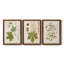 «Antique Leaves VII», ensemble de 3 peintures sur toile encadrées-1018014659-1018014660