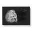 Wild Lioness - Wrapped Canvas-56637675