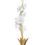 Thylane Accessory 2
