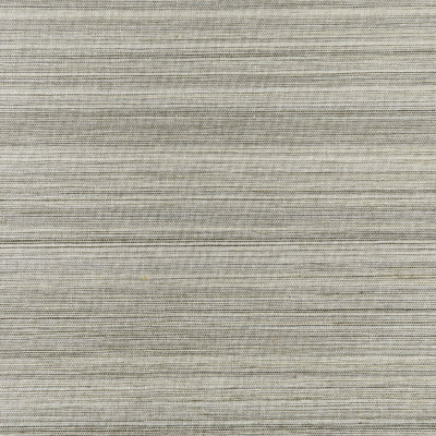 Natural Textures Grass Cloth Wallpaper Roll