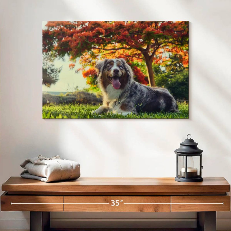 Cherry Border Collie, 16" H x 24" W