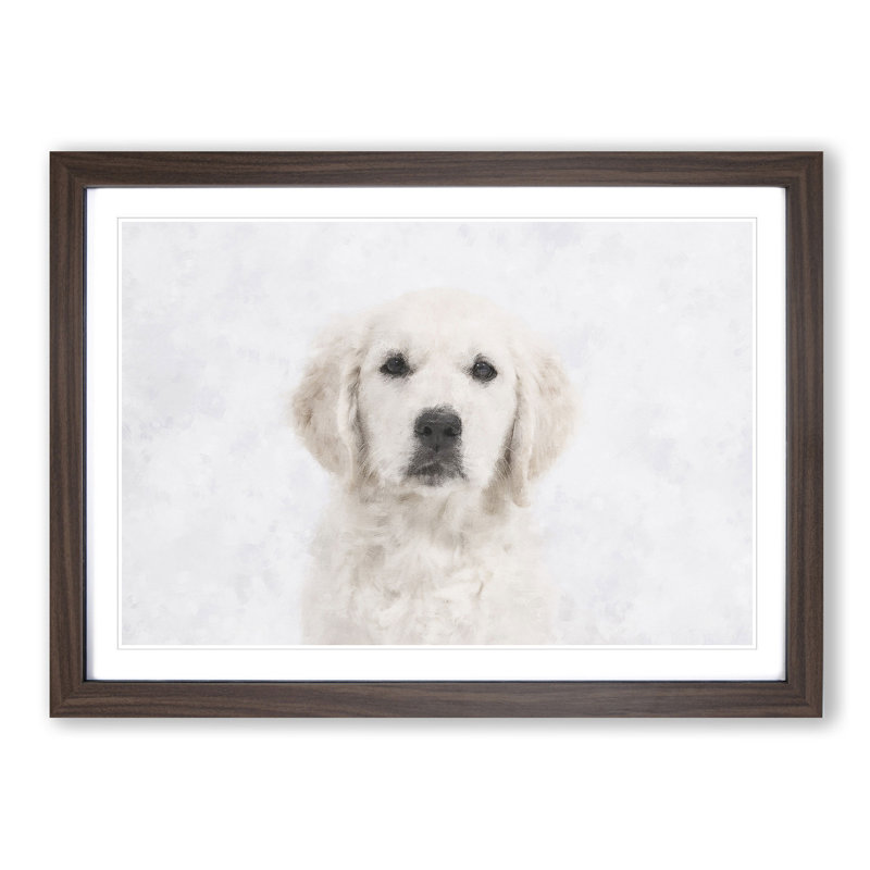Golden Retriever Puppy - Picture Frame Graphic Art Print, Walnut Framed, 24cm H x 33cm W x 2cm D