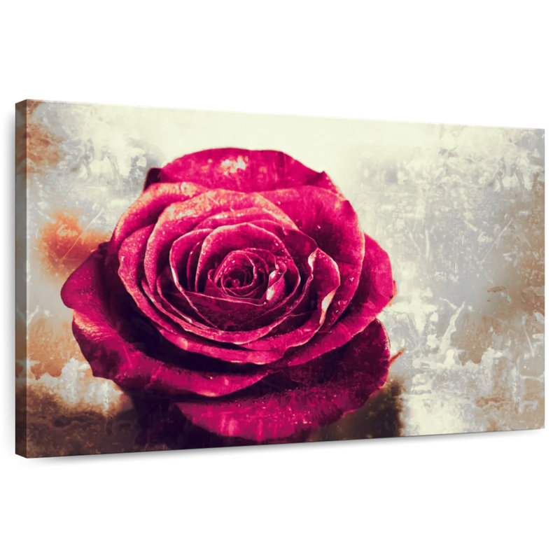Harnek Textured Grunge Rose