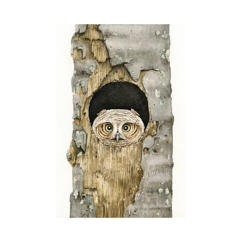 Peek A Boo Owl by Tracy Lizotte - Wrapped Canvas Painting, 20.32 cm H x 30.48 cm W