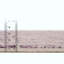 Tapis mauve Elsmere-336586298