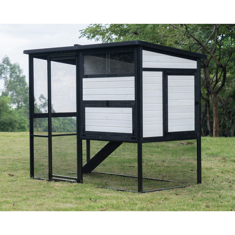Poulailler Modern Ultraguard