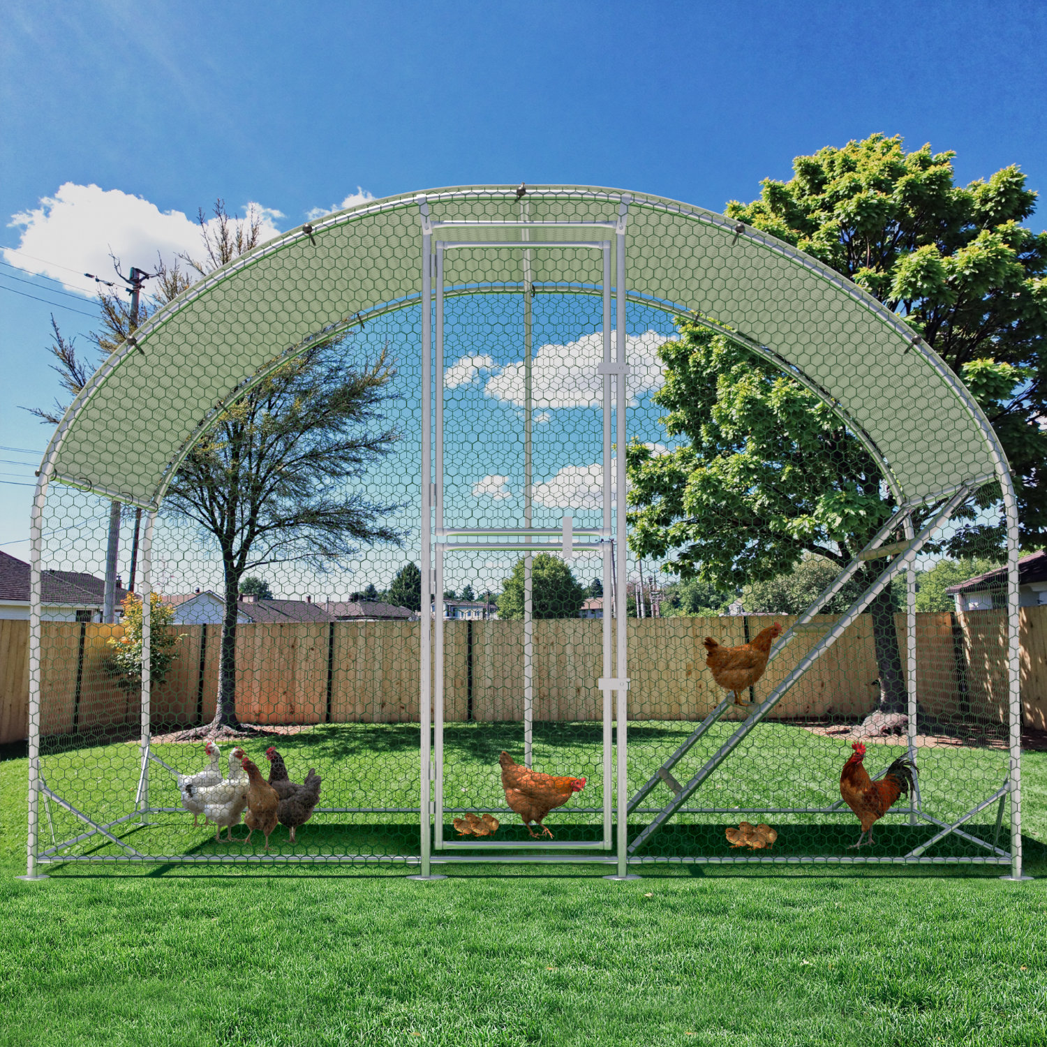 Poultry Rack Design Hokku Designs Metal Chicken Run Coop, Walk-In Poultry Cage With ...