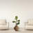36'' Faux Fiddle Leaf Fig Branch