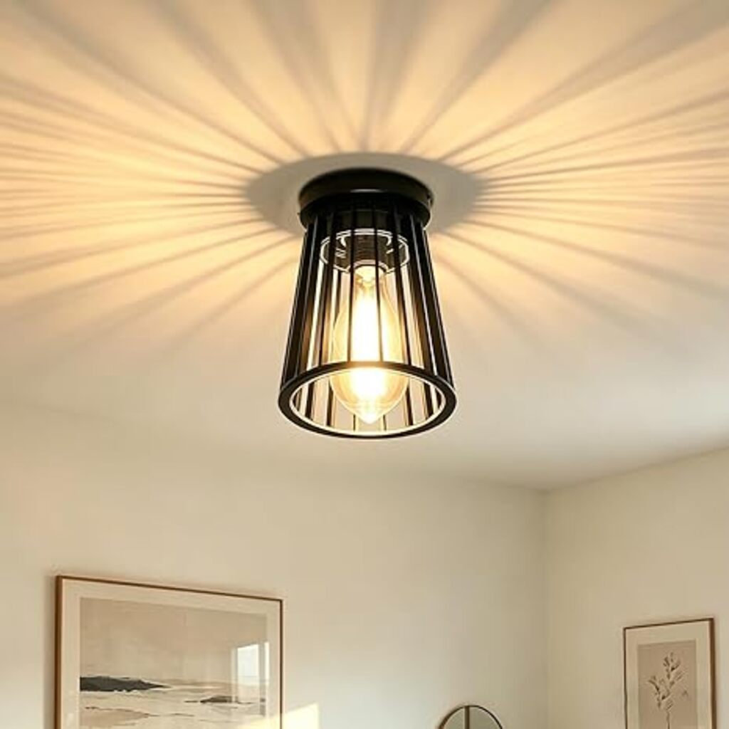 Ceiling Light,Modern Chandelier Indoor Outdoor Ceiling Lighting Fixtures E27,Industrial Semi Flush Mount Outside