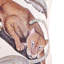 Monkey Tales - Silk-131752101
