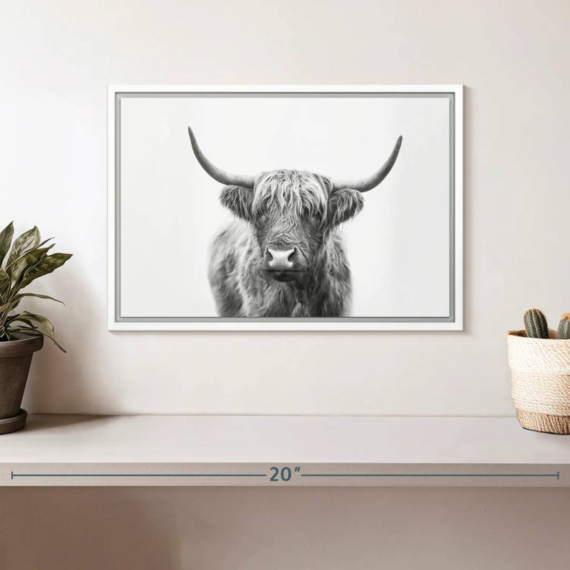 Highland Bull I, Cadre flottant blanc, 13 po x 9 po