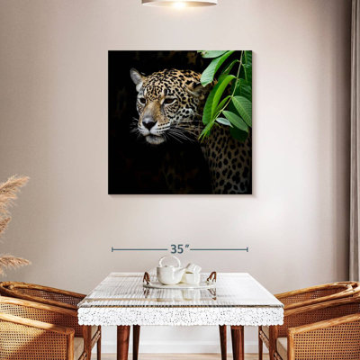 Brampt rôdant Jaguar