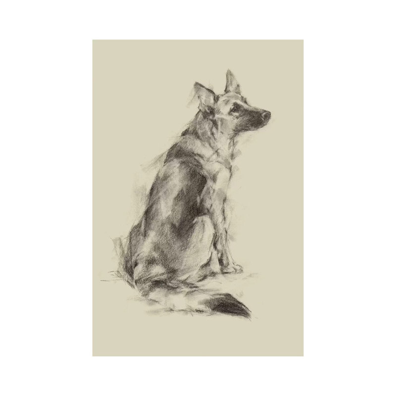 Puppy Dog Eyes V by Ethan Harper - Wrapped Canvas Gallery-Wrapped Canvas Giclée, 20.32 cm H x 30.48 cm W