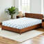 Matelas en mousse viscoélastique gélifiée mi-ferme-571301294-571301283