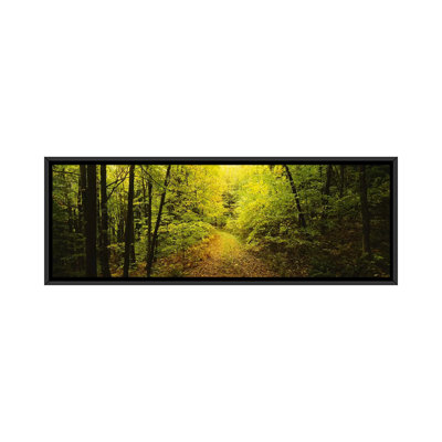 " Dirt Road Passing Through A Forest, Vermont, USA " by Panoramic Images