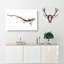 Lesser Spotted Dog-fish by Edward Donovan - Wrapped Canvas-55365452