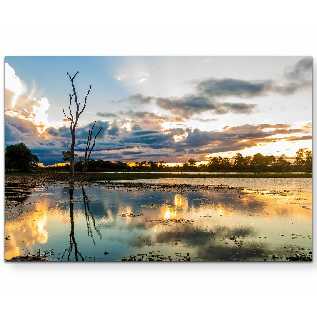 Leinwandbild Farbenfrohe Sumpflandschaft – Brasilien