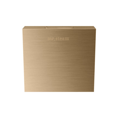 Designer 3 in. Steamhead with AromaTherapy Reservoir in Square 