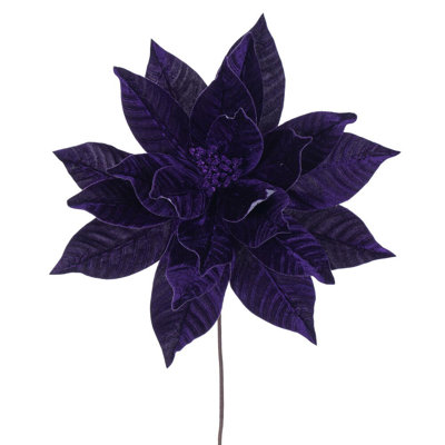 Tiges de poinsettia Clementina