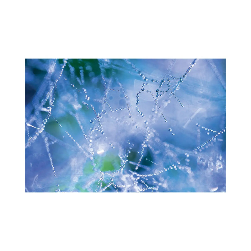 Spider Web by Mateusz Piesiak - Wrapped Canvas Print, 20.32 cm H x 30.48 cm W