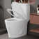 Elongated One Piece Toilet with Comfort Seat Height 17.3", Power Dual Flush 0.8/1.28 GPF and MAP 1000g