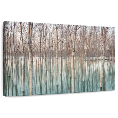 Harnek Ticino River Birch Trees