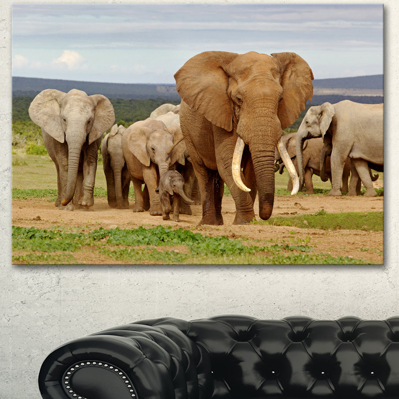 « large cheptel éléphant en afrique », reproduction de photo sur toile tendue, H 12 po x l 20 po