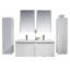 Ensemble de meuble-lavabo double mural 48 "avec miroir Artesian