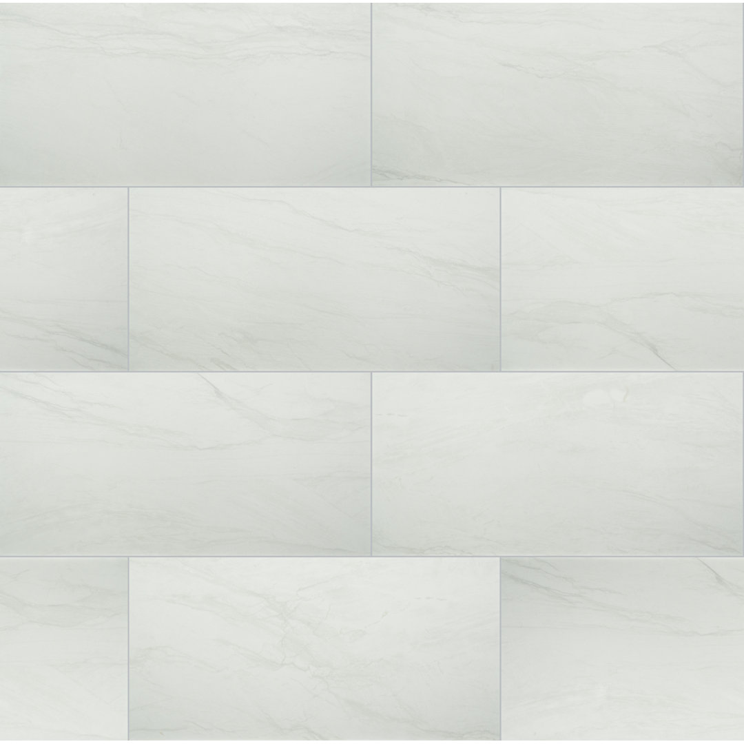 Marnix 24 in. x 48 in. Matte Porcelain Stone Look Floor and Wall Tile Ackland 