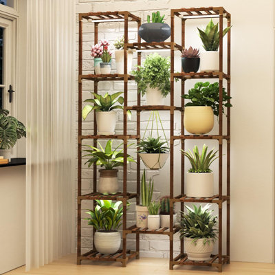 bright green philodendron Buy Philodendron Brasil