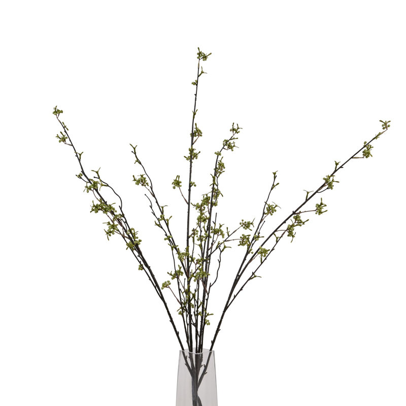 Anastasija Arrangement