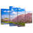 Nicci Mount Fuji In Spring
