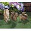 STATUE DE JARDIN LAPIN CURIEUX