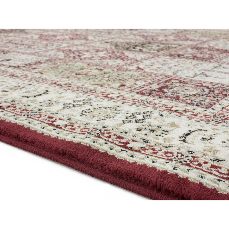 Devansh Oriental Indoor Rug, Rectangle 2'1" x 3'3"