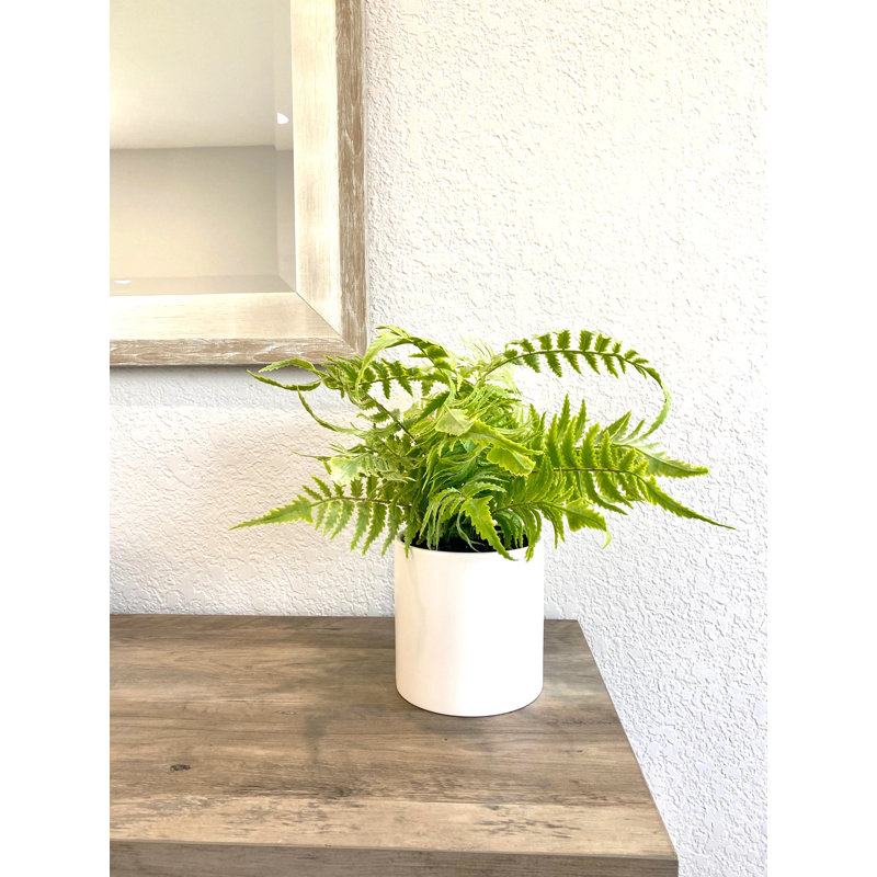 Faux Foliage and Fern Plant in Ceramic Planter