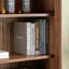 Bibliothèque populaire de style américain