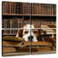 Chien et livres-1592805880