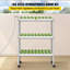 Unité hydroponique 10W avec herbes / fleurs / fruits / légumes / salades