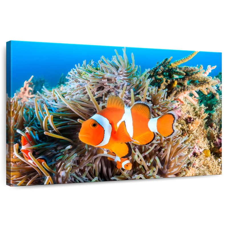 Brampt Fish Swimming, 8" H x 12" W