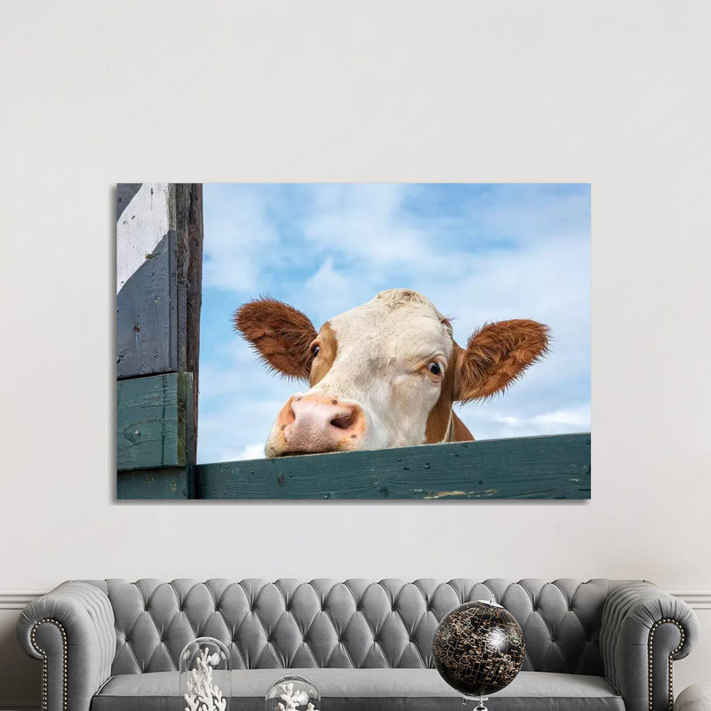 «Peeking Cow» par Clara Bastian - reproduction de photo sur toile tendue, H 40 po x l 60 po x P 1,5 po
