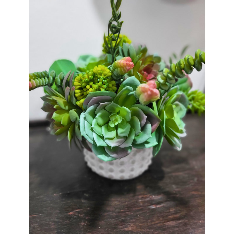 Succulent Arrangement in Pot