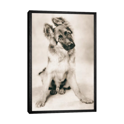 Carlos 1 Piece Wall Art on Canvas