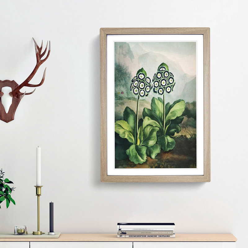 Bears Ear Plant by R.J. Thornton - Single Picture Frame Painting, 63cm H x 45cm W x 2cm D, Oak Framed