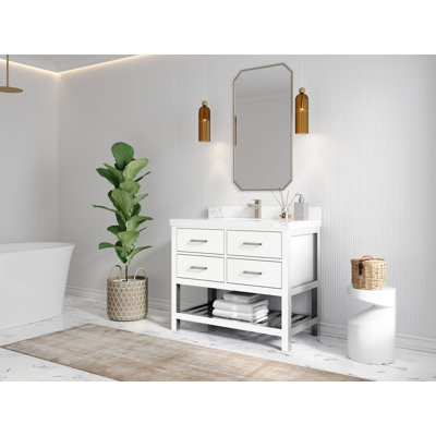 Parker 42'' Single Bathroom Vanity with Top