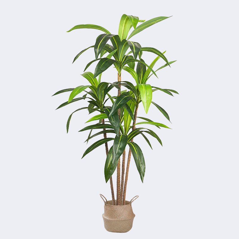 Pot à fleurs artificiel Dracaena, H 19,69 po x l 59,06 po x P 19,69 po