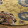 Emrick Hand Tufted Wool Floral Rug