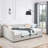 Queen Size Daybed With Drawers Upholstered Tufted Sofa Bed,,With Button On Back And Copper Nail On Waved Shape Arms, Beige (84.5"X63.5"X26.5")-471037298-471037302