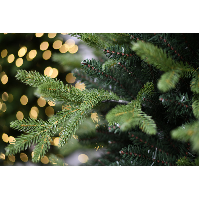 Otwell Nordic Green Artificial Christmas Tree with Stand, 7ft H