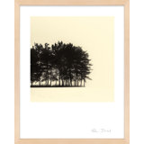 Copse By Peter Dušek - Framed Wall Art